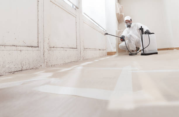 24/7 Emergency Basement Mold Removal experts in Dallas, OR