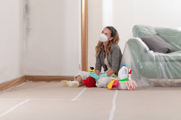 Reliable Basement Mold Removal contractor in Dallas, OR by WQB Mold Removal